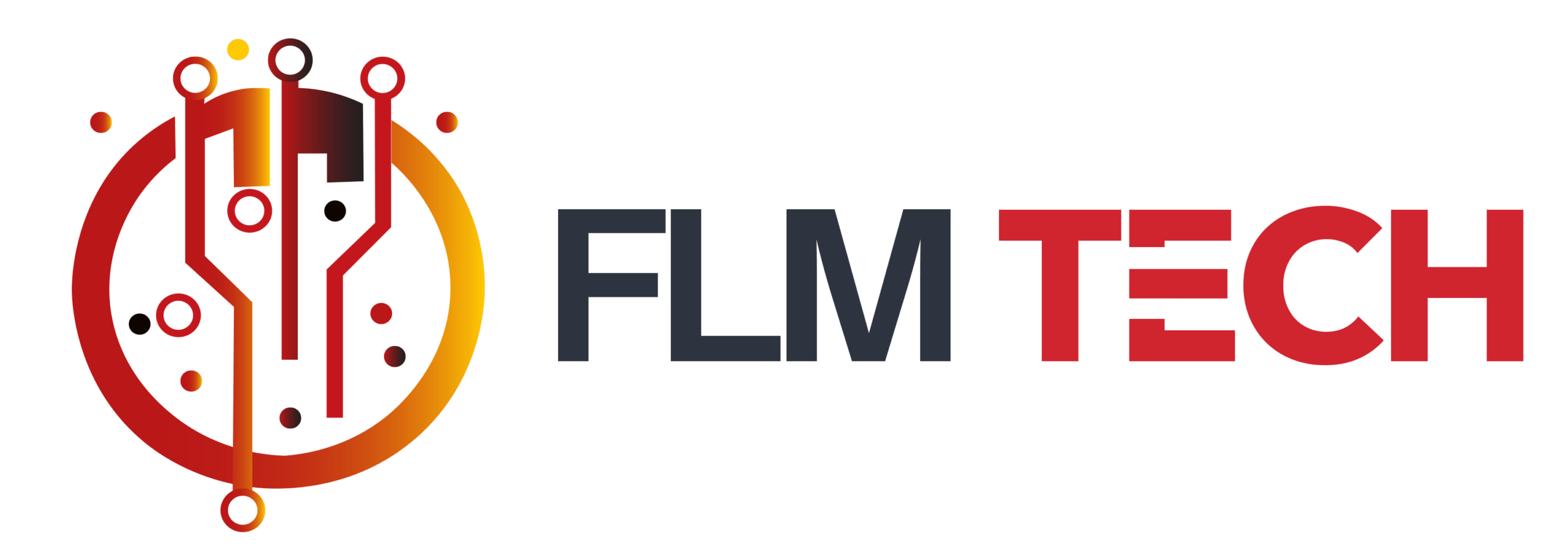 FLM-Tech Consulting
